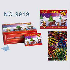NO.9919