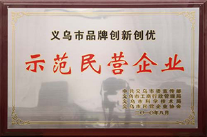 示范民營企業(yè)
